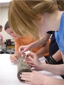 Students wkg. in lab